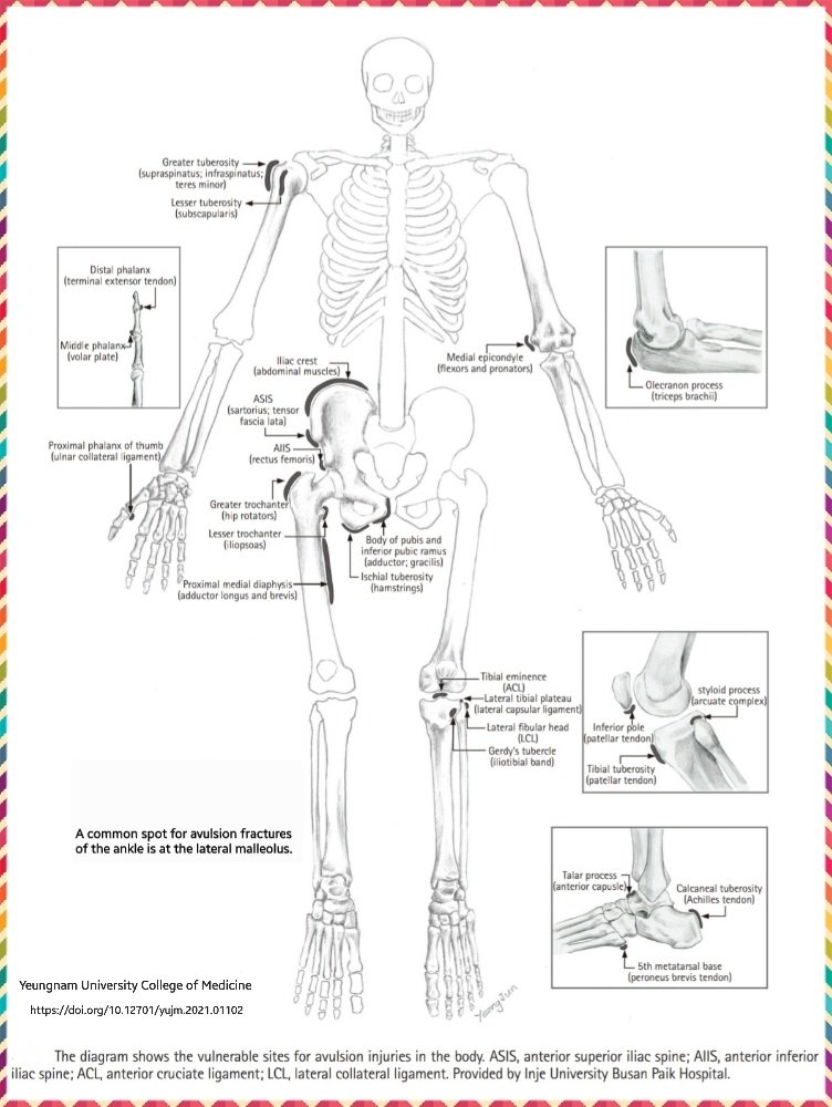 Dr. OMID BANDARCHI tweet media