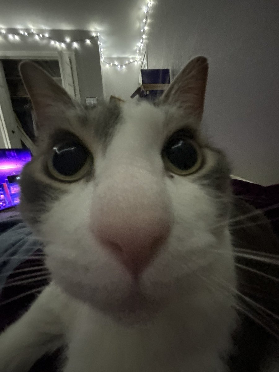 ro ‼️ tweet media