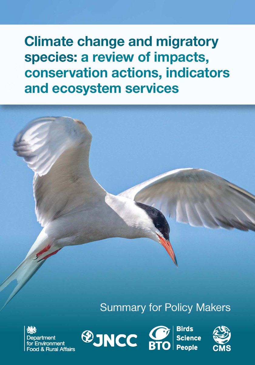 📢Press Release:

Major New @‌UN Report Finds Climate Change is Severely Impacting Migratory Species of Wild Animals.

Impacts compromise key role of migratory species in mitigating climate change.

The CMS report launches now at @‌UNFCCC #COP28

cms.int/en/news/major-…