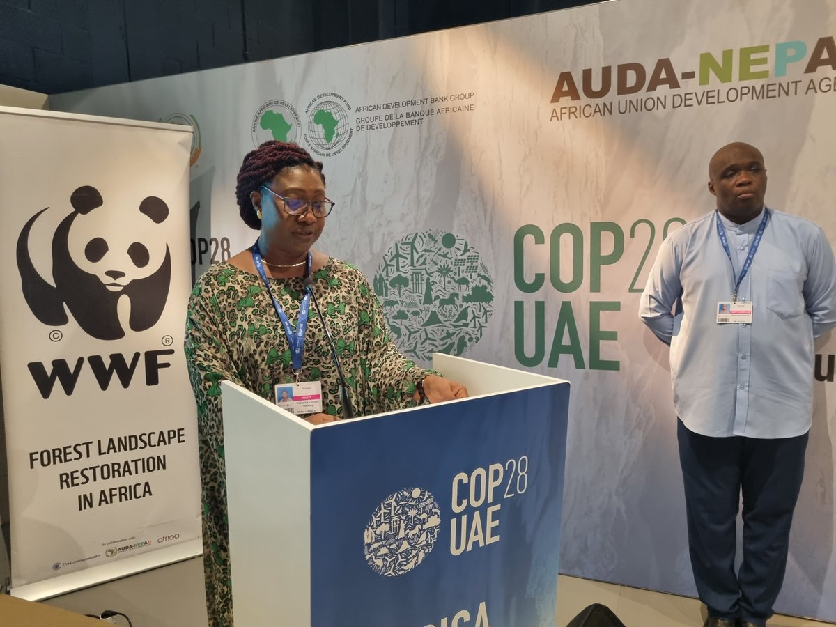 Forest Landscape and Ecosystem restoration take center stage at #COP28UAE .Our session highlighted the crucial need for large-scale investment in Africa in the two areas.@EstherineF emphasized a strategic approach to accelerating investment and the importance of quantifying ROI