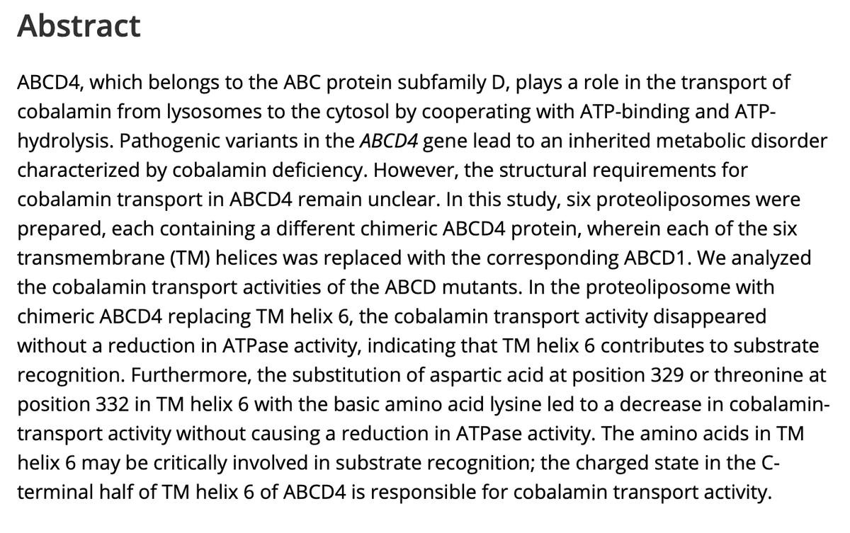 JIMD_Editors's tweet photo. We know that you love reading (and listening to) content about #Cobalamin, so hopefully you'll enjoy this new paper from the main journal:
Transmembrane helix 6 of #ABCD4 is indispensable for cobalamin transport
Momoka Imai, et al
https://t.co/88XVY6zppI https://t.co/80PLHIrHO8