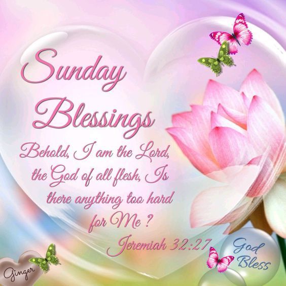 Have a shop blessed sunday quotes