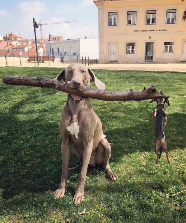 The branch manager and assistant branch manager at the local park…
