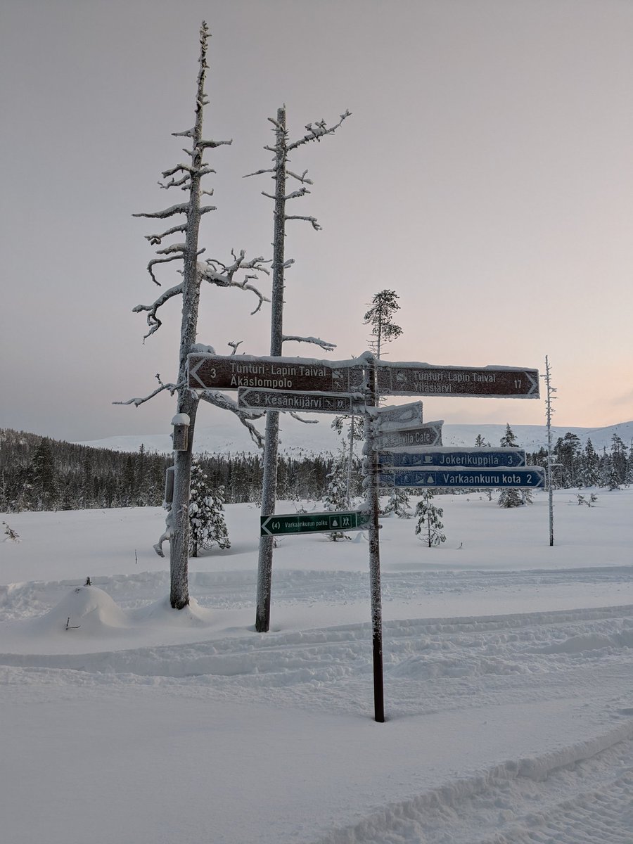 EscapeToLapland's tweet photo. Pre-Christmas trip to #Lapland ?
@easyjet have great prices for flights to #Rovaniemi and #Kittilä
Cottages available, and already lots of snow. 
So many adventures to be had and, of course, the chance to meet the big fella 🎅 https://t.co/ZdlQAOAv7G
