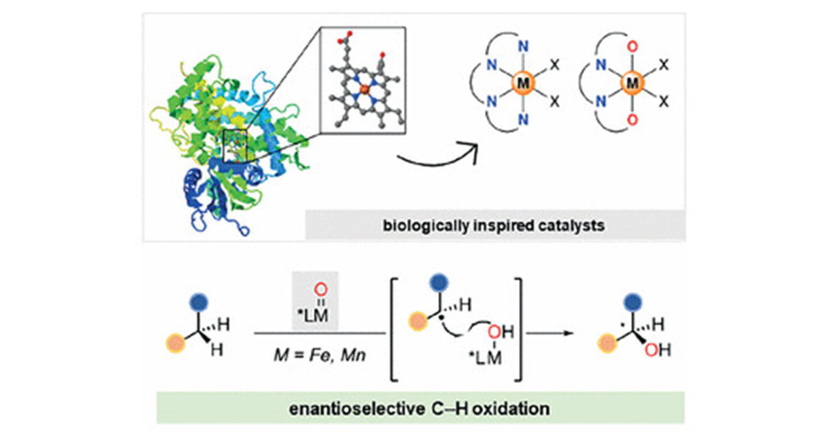 Asymmetric C‒H Oxidation with Biologically Inspired Manganese and Iron Catalysts: Latest advances reviewed in #ScienceOfSynthesis by Miquel Costas (@MiquelCostas), Laia Vicens (@lvicensserra), and Andrea Palone (@palone_andrea) @univgirona 👉 brnw.ch/21wEP2q Ed. @ny_1978