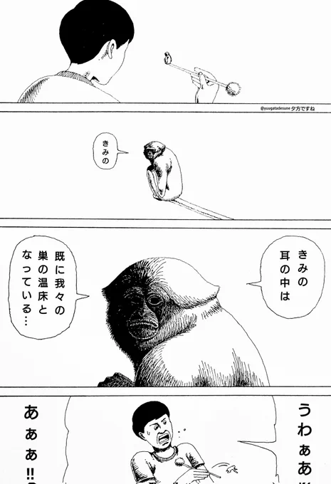 【漫画】告げる猿の漫画