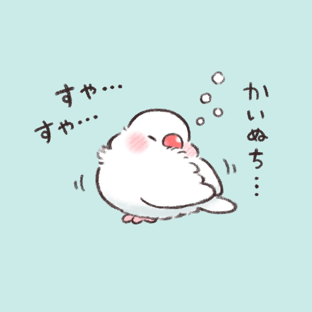 すやすや。  #文鳥