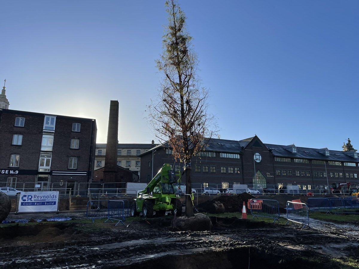 HullMaritime's tweet image. The first tree is being planted in Queens Gardens to create a new, wider central avenue. 

In total, 130 semi mature trees will be planted within the gardens.

@Hullccnews @GavinJonesLtd