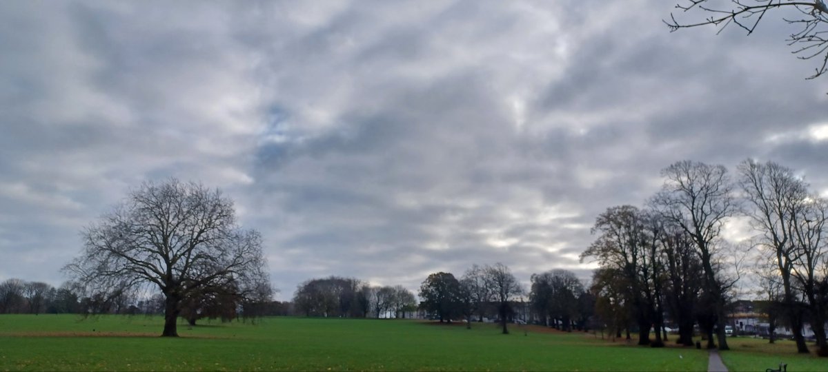 Derak Frogman 🐸 tweet media