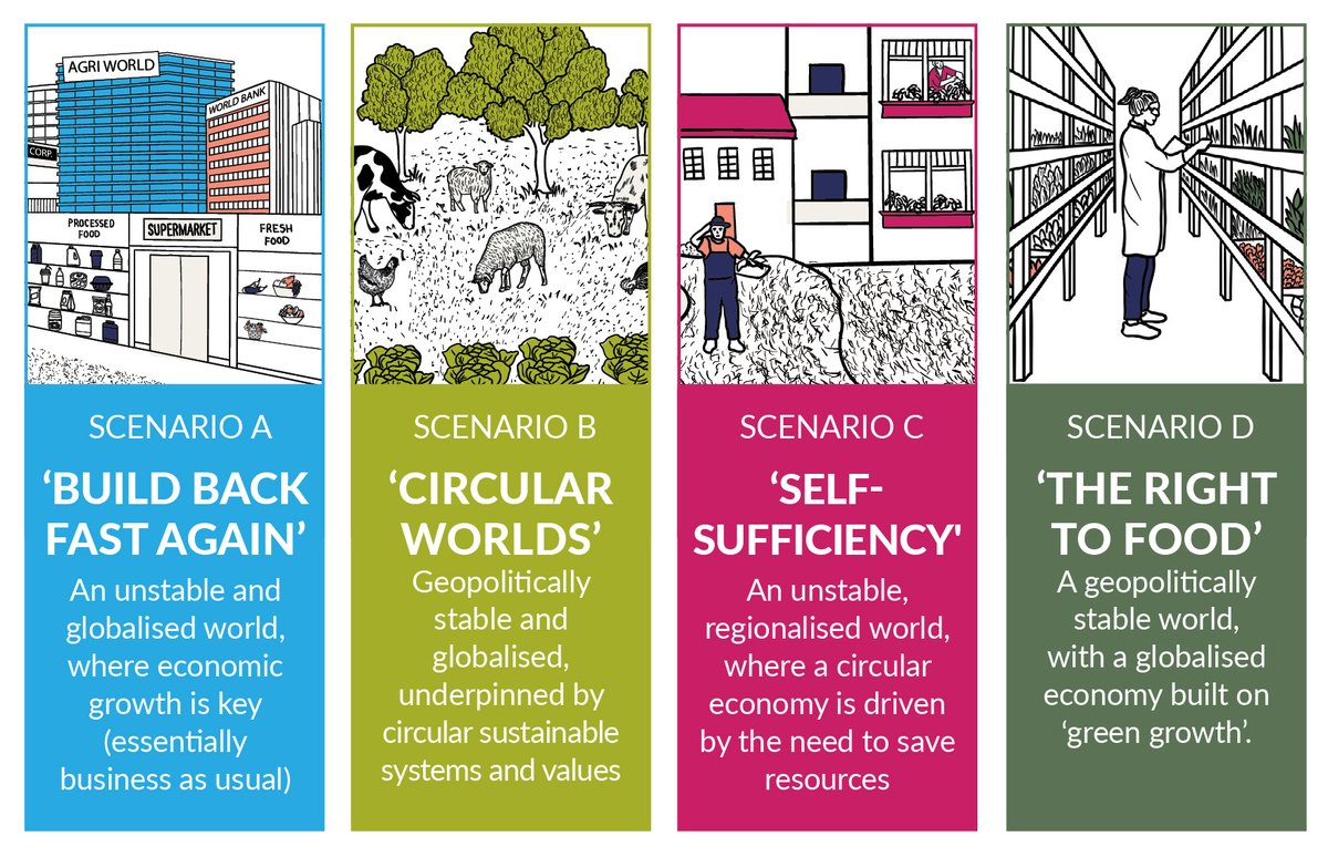 How will the world look in 2050 and what will that mean for UK #agrifood? Our scenarios project developed four possible futures, with alternative pathways for reaching net zero and different implications for each. Read our full report: agrifood4netzero.net/news