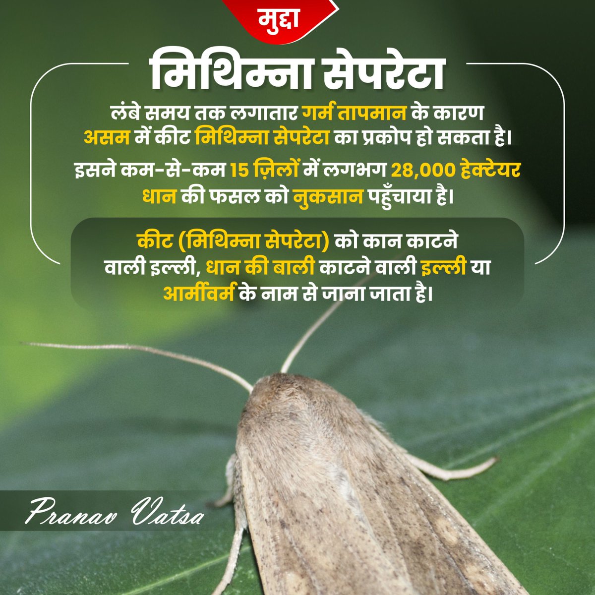 pranavvatsa001's tweet photo. मुद्दा
मिथिम्ना सेपरेटा
लंबे समय तक लगातार गर्म तापमान के कारण असम में कीट मिथिम्ना सेपरेटा का प्रकोप हो सकता है।

#mudda #mithina #separata
#assam #insects #rice #crops #previousyearquestions #pranavvatsa #PCS #SSC #railways #BPSC #mpscexam #upsc #ias #upscprelims2024 https://t.co/N5Itit55e9