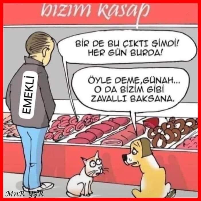 Hasan Kılıç (@hasankl01518348) on Twitter photo 