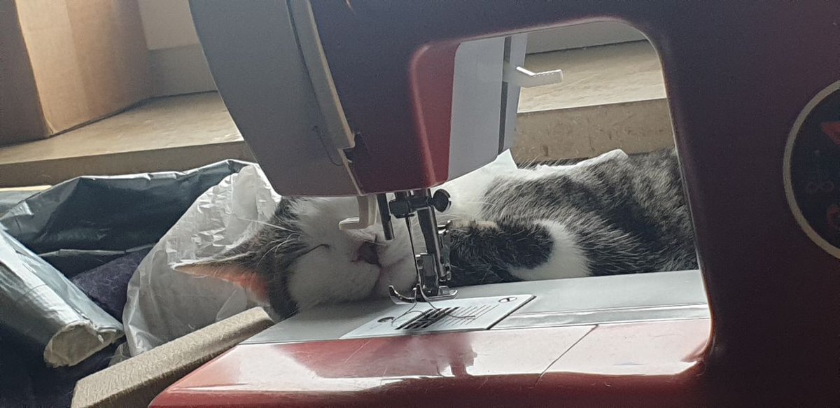 LightbringerCreations tweet media