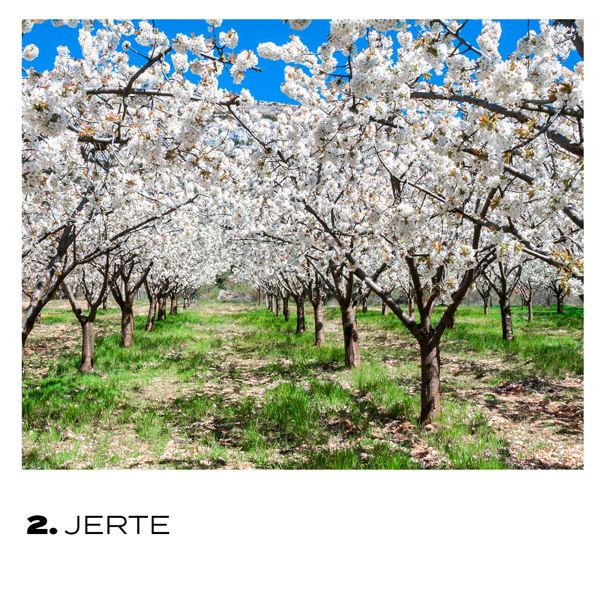 Spanje in Nederland tweet media