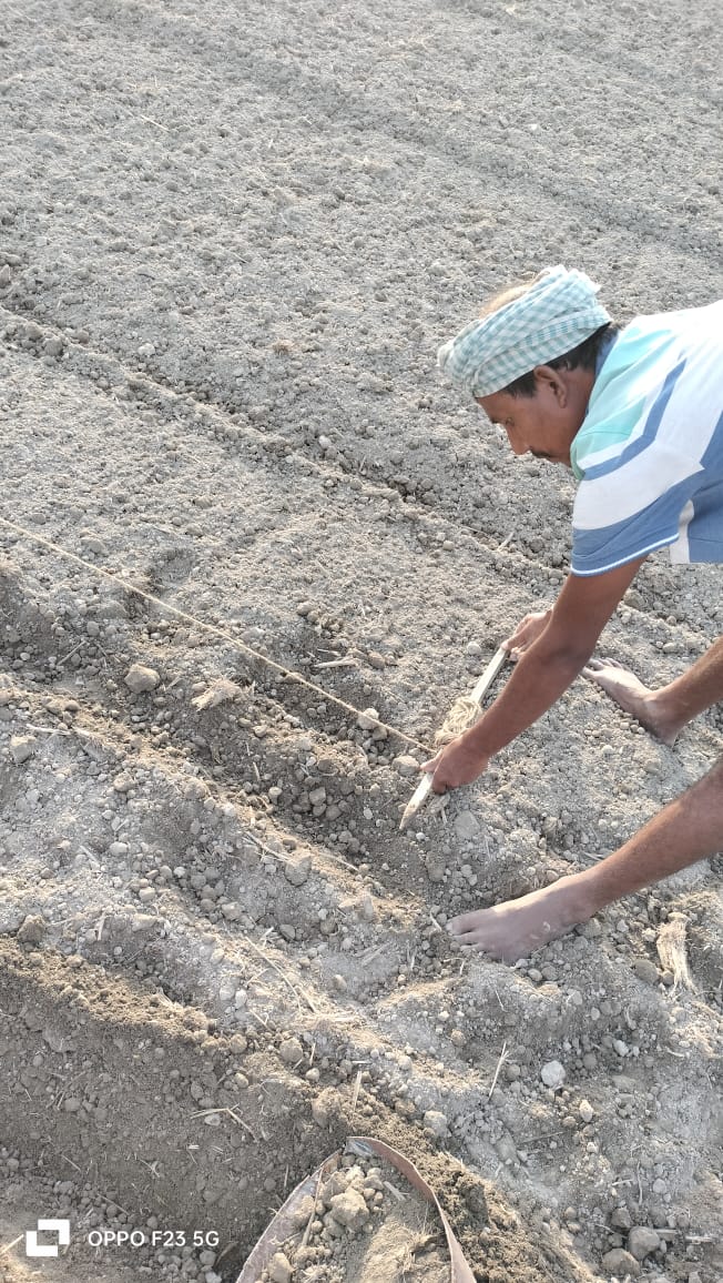 apartassam's tweet photo. #BMPTrainingOnProgress I The Technical Trainings on BMP (Best Management Practices of Potatoes) under PAEP 2023-24 is skyrocketing! 🚀
#PotatoAreaExpansionProgram #BMP https://t.co/9cAhixiq8D