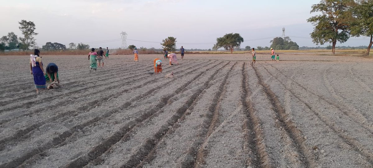 apartassam's tweet photo. #BMPTrainingOnProgress I The Technical Trainings on BMP (Best Management Practices of Potatoes) under PAEP 2023-24 is skyrocketing! 🚀
#PotatoAreaExpansionProgram #BMP https://t.co/9cAhixiq8D