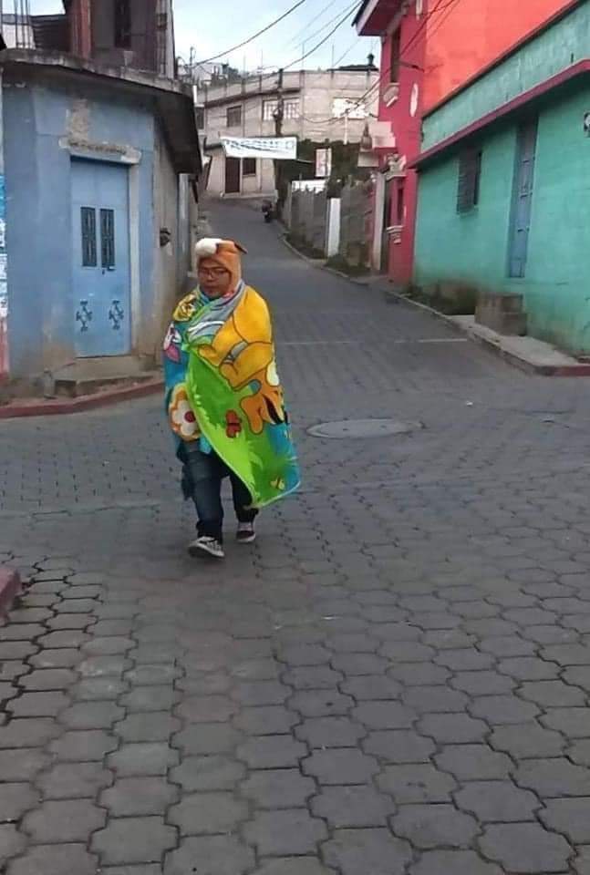 Yo rumbo al punto con este perro frío!! ❄️ https://t.co/4tN47dHKrp