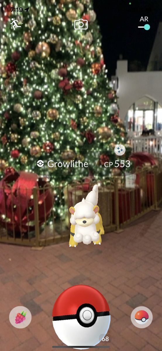 Max out Monday and the resulting reward ✨🎄