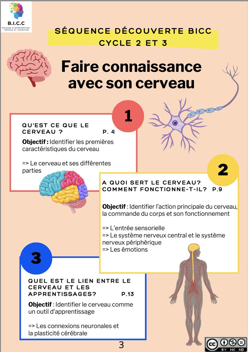 Les BICC sont en route en Polynésie! Un triple accompagnement (enfants, enseignants, parents) dans les classes à la neuroéducation. 👏 à <a href="/HinateaLuyssen/">Hinatea Luyssen</a> pour la conception de ce livret cycle 2 et 3.