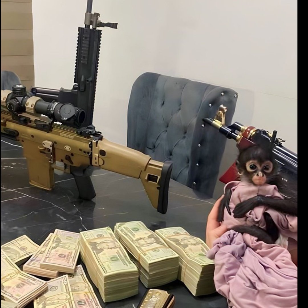 C Λ P O $ 😈 tweet media