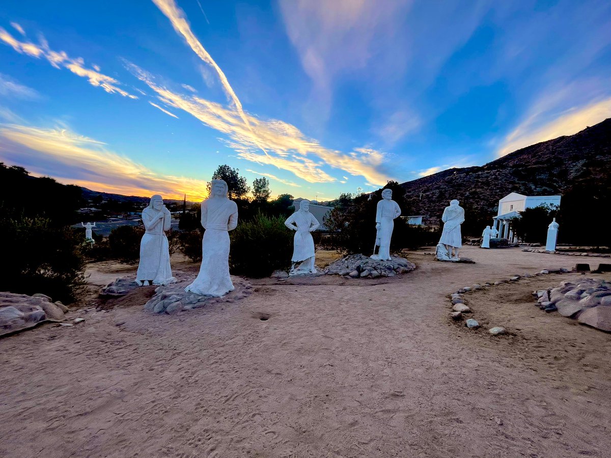 Will Sergeant tweet media