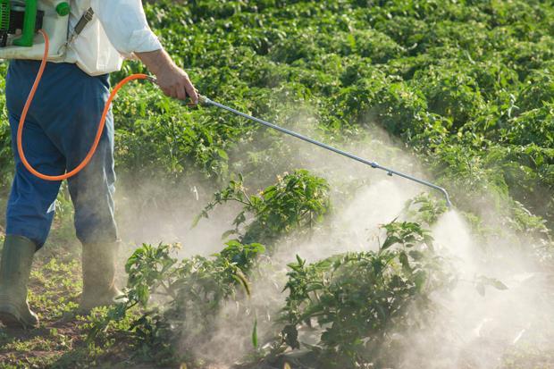 Pestisidlər və reproduktiv sağlamlıq
Pestisidlər zərərvericiləri məhv etmək üçün istifadə olunan kimyəvi maddələrdir.Onlar hamiləliyin başa çatmaması,doğuş qüsurları və uşaqlarda öyrənmə və ya inkişaf qüsurlarına səbəb olur.Pestisidlər ana südünə də keçə bilir.
#pestisidlər