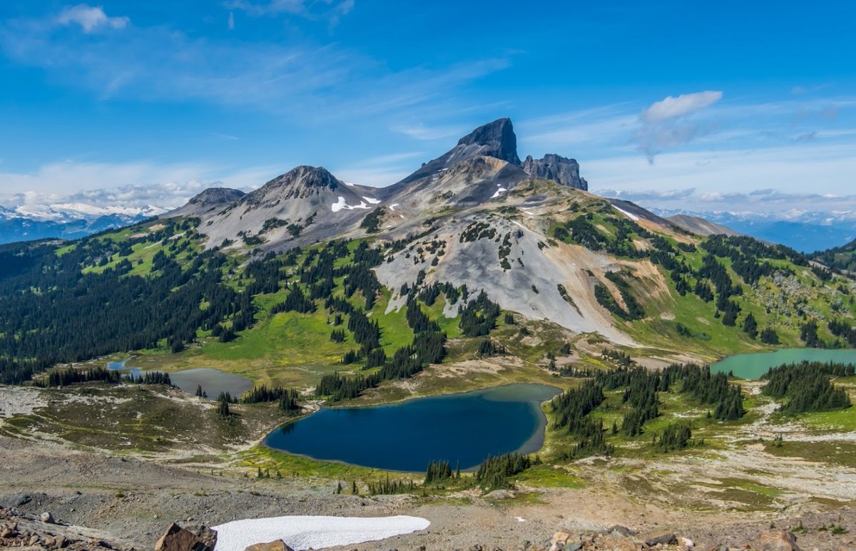 Canadian Scientific and Christian Affiliation tweet media