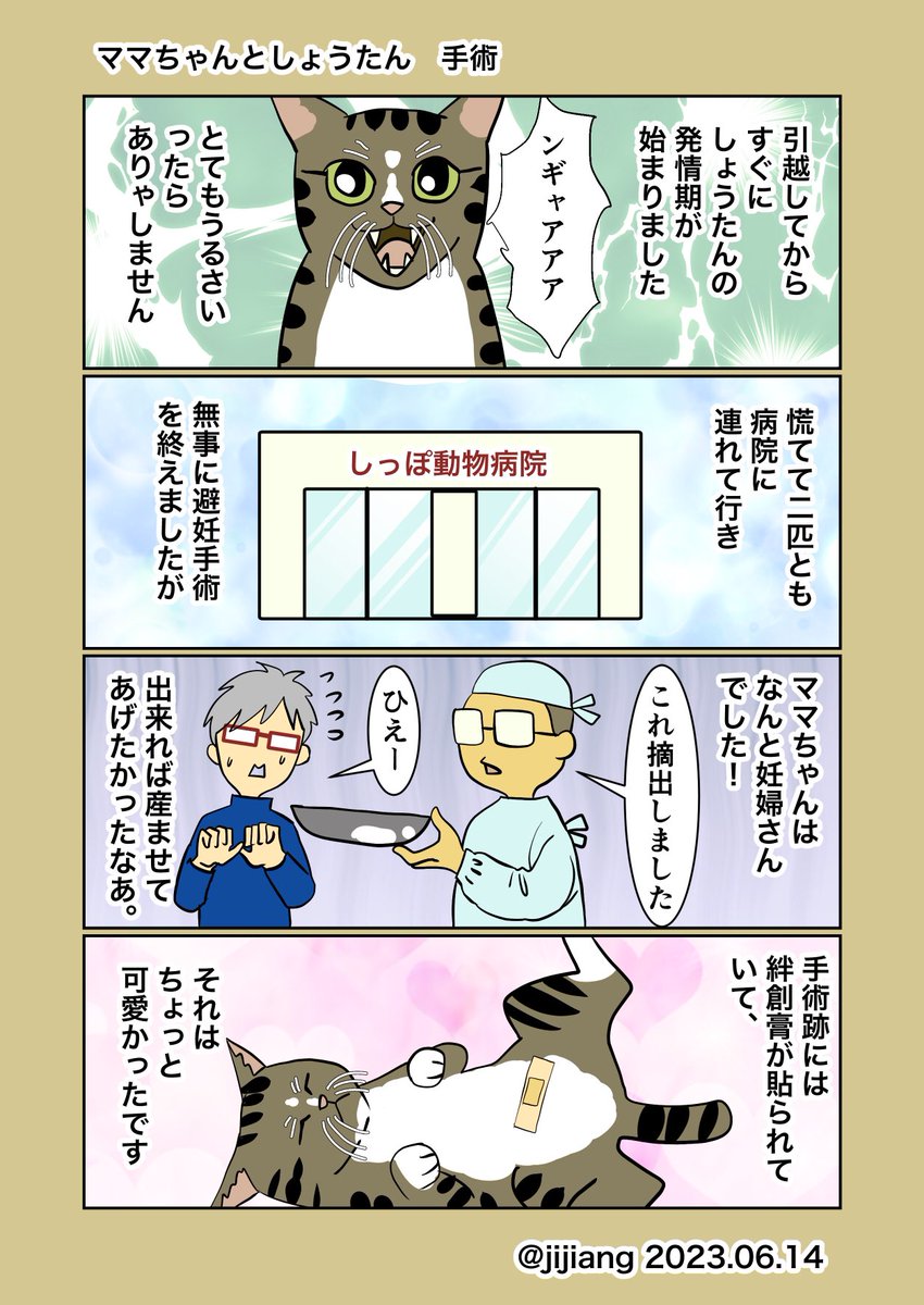 AftNEO_NAGOYA's tweet photo. 不定期！ねこ漫画㊵
@jijiang

さんの可愛い猫の日常です。  猫好きさんには、共感していただけるかと思います！   #就労継続支援B型 #猫がいる暮らし #猫のいる暮らし #ねこ漫画 #猫好きと繋がりたい #四コマ漫画 #猫 #ねこ #漫画が読めるハッシュタグ https://t.co/6jyNOQeC2h
