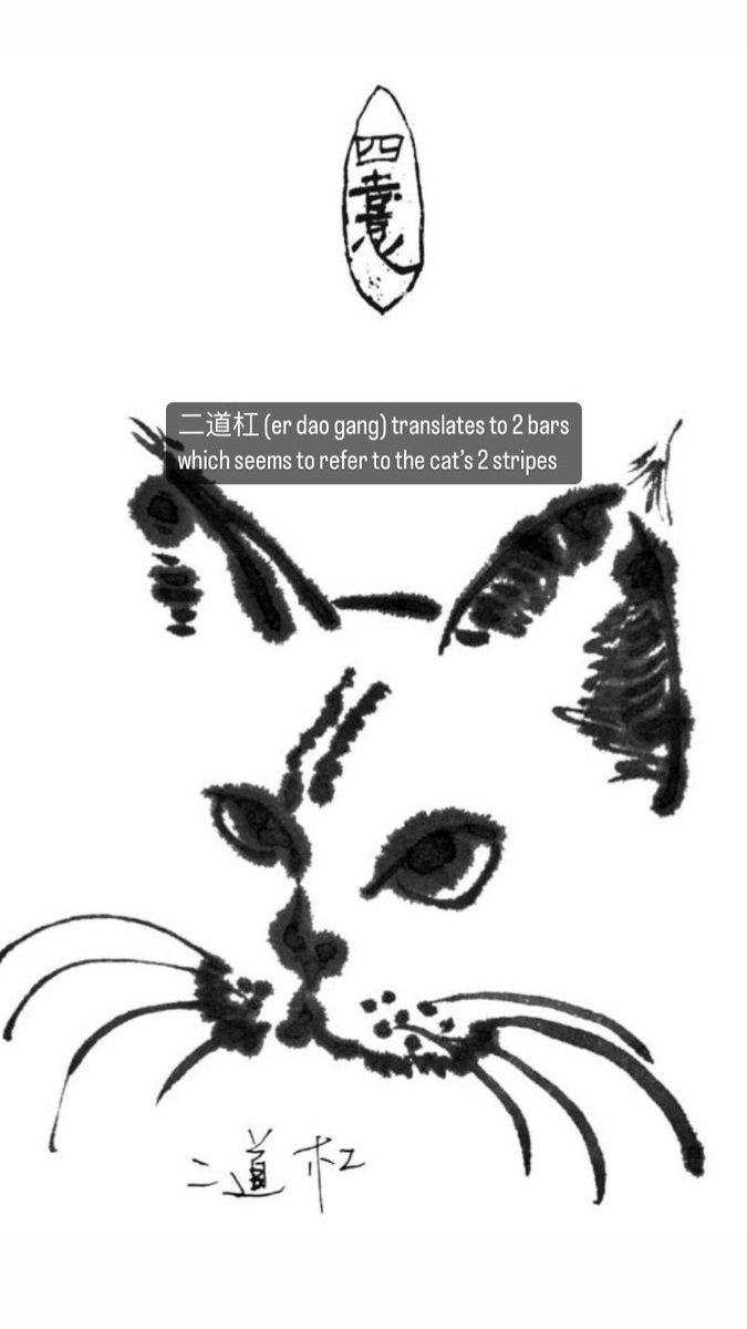 thejacksonyee_'s tweet photo. 📌Jackson drew 15 different cats with different names, and fans can now randomly choose 1 picture as their avatar on his website🥺🐱🐈

Go choose yours now!
https://t.co/oklEXLxDMg

Here are the English translation of the names of the 15 cats❤️
#JacksonYee #易烊千玺 https://t.co/gmsQsau95w