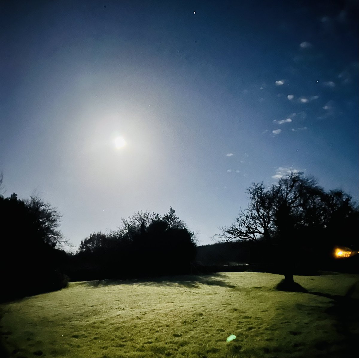 What view this morning in my garden 😳