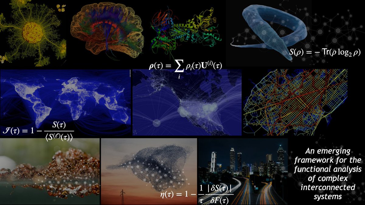 Information dynamics shapes the function of complex systems. Can we exploit structure AND dynamics to understand functional robustness, effective coupling in multilayers & the emergence of sparsity in Networks? 👉 @manlius84 talk @ #ComplexNetworks2023 4.20pm #BeyondStructure