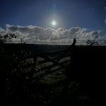 Photo by Lynn Batten (@penberth73)