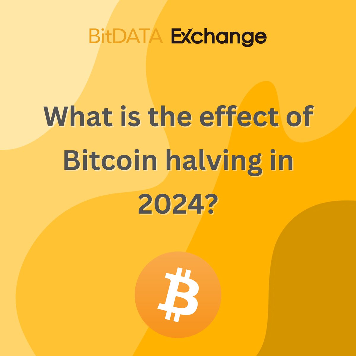 🚀 Wondering about the impact of the Bitcoin halving in 2024 on your investment portfolio?  

Here's a sneak peek into what you need to know! 📈💰

tinyurl.com/fahx855x 

#BitcoinHalving2024 #InvestmentInsights #CryptoEconomy