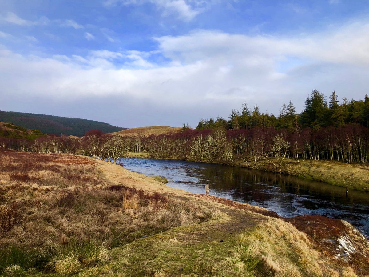 SFHScotland's tweet photo. Spring salmon fishing in the Scottish Highlands...truly a magical place to swing a fly!

@visitscotland @guidedflyfishing @Whisky @salmonfishing https://t.co/HJJyn6m3NM