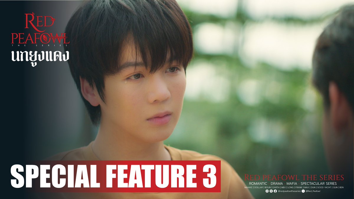 Red Peafowl The Series tweet media