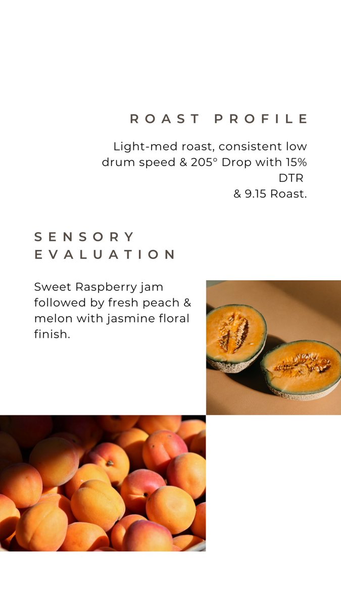 Grey Soul™ Coffee Roasters tweet media