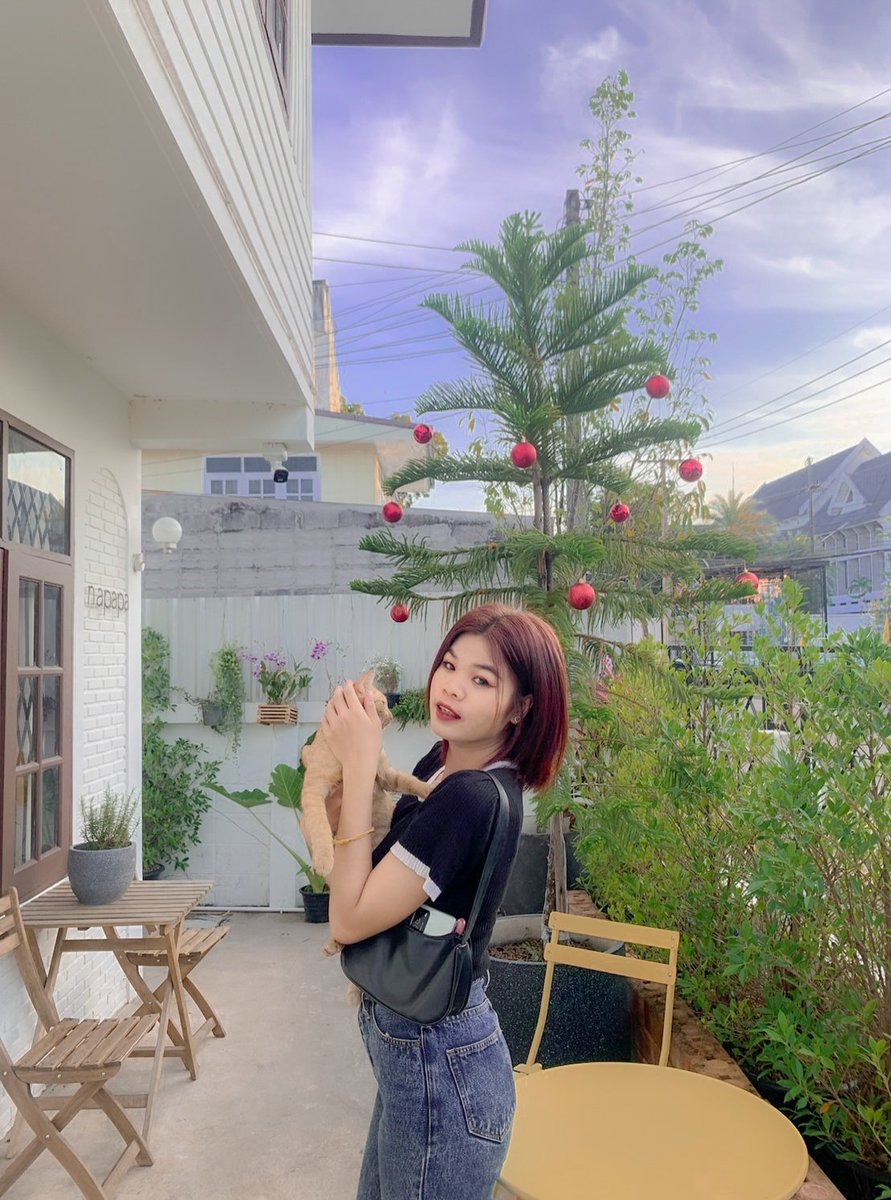 Pranee214789196's tweet photo. มาดูแมวที่ห้องเรา🤪 #ศรีสะเกษในเมือง https://t.co/V6NlbhfhJ9