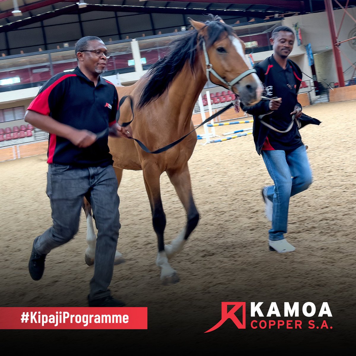 kamoa_copper_sa's tweet image. Les recherches montrent que les signaux non verbaux représentent +/- 70 % de la communication humaine. C'est pourquoi nos apprenants de Kipaji ont embarqués dans un voyage de leadership unique avec des chevaux pour apprendre à diriger avec confiance et empathie
#DevelopingLeaders