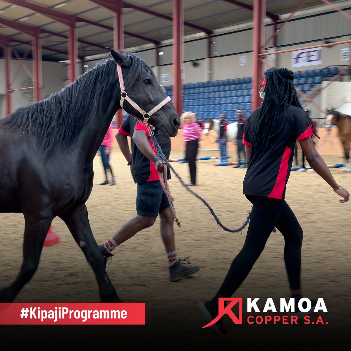 kamoa_copper_sa's tweet image. Les recherches montrent que les signaux non verbaux représentent +/- 70 % de la communication humaine. C'est pourquoi nos apprenants de Kipaji ont embarqués dans un voyage de leadership unique avec des chevaux pour apprendre à diriger avec confiance et empathie
#DevelopingLeaders