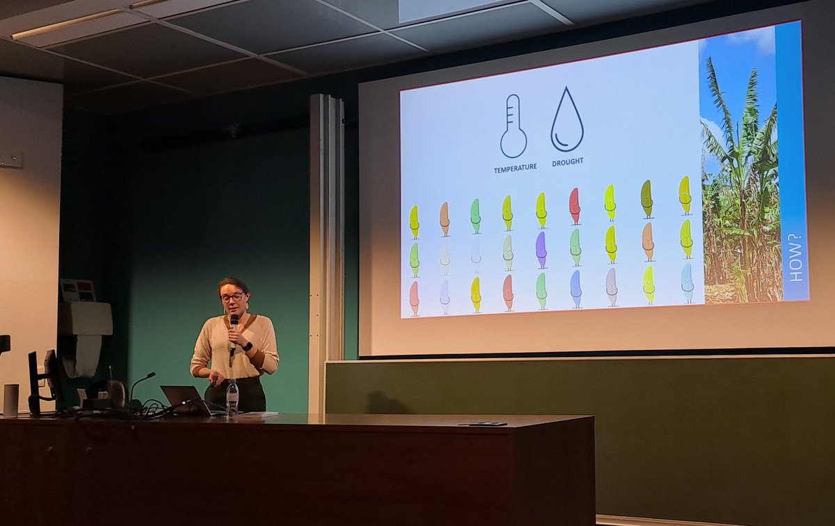 Hannes Wilms tweet media