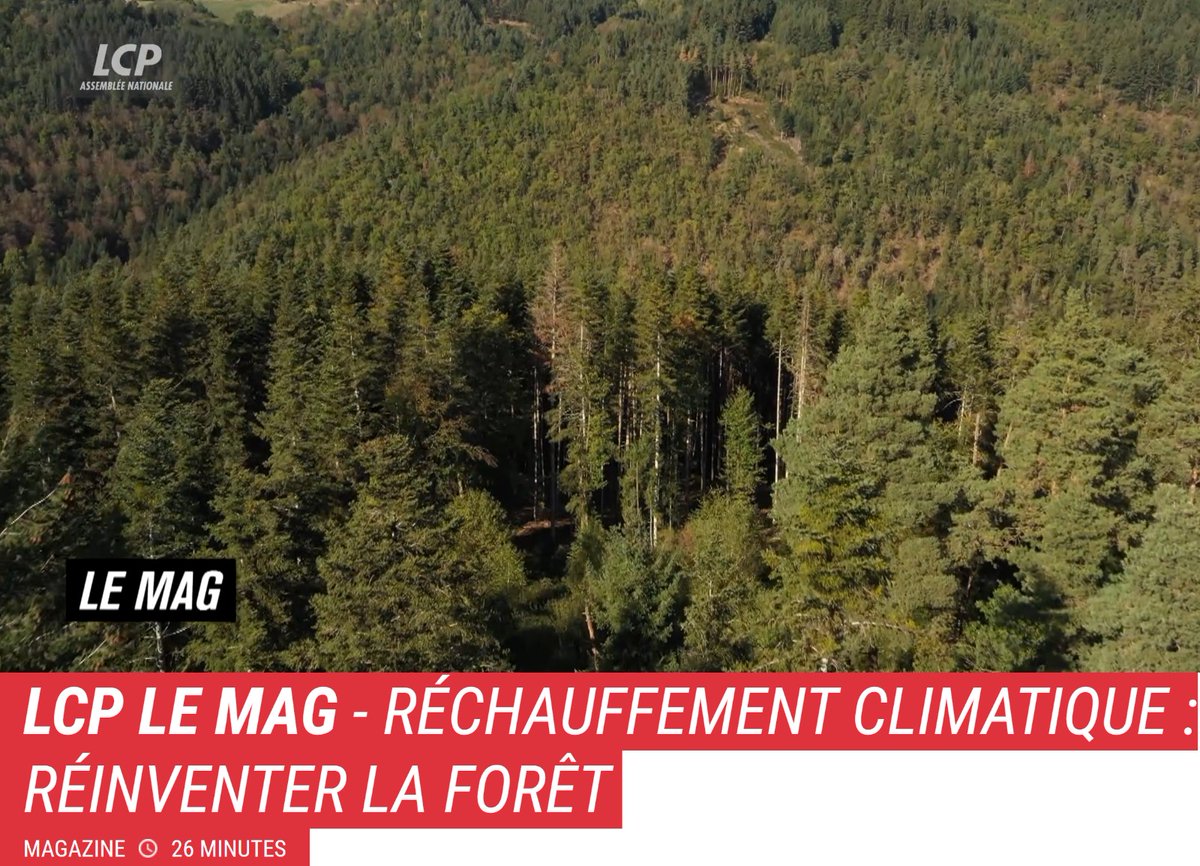 "Réchauffement climatique : Réinventer la forêt" un magazine📺 <a href="/LCP/">LCP</a> de @Marion_Becker_, V Ferreira, I Azencot, auprès de ceux qui constatent le dépérissement des forêts et cherchent des solutions pour enrayer le phénomène. Avec <a href="/ONF_Officiel/">Office national des forêts</a> &amp; <a href="/UCFFcoop/">UCFF - Les Coopératives Forestières 🇫🇷</a> 👇
youtube.com/watch?v=DQgVQ8…