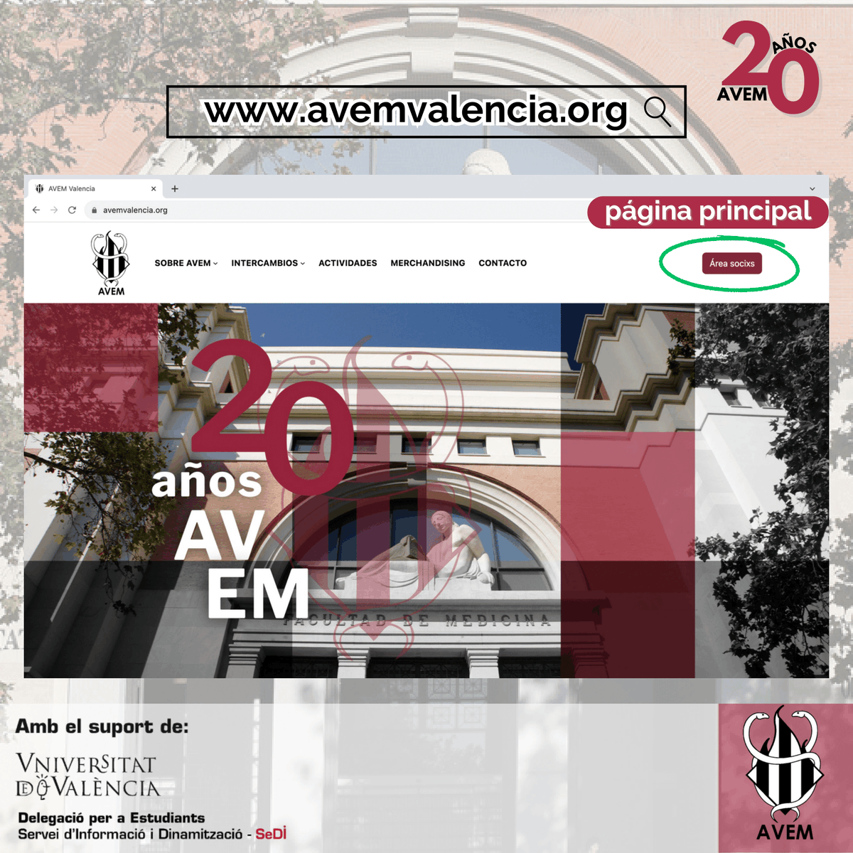 avem_ifmsa's tweet photo. Estem de renovació!

Ja està disponible el nou web d'AVEM, actualitzat i ple de novetats per a vosaltres!!🤩🥼🎓

A més, únicament per registrar-vos abans del 15 de desembre, guanyareu 3 punts pel vostre proper intercanvi!!🌍✈️

🌐 Accediu des de: https://t.co/1rNvoxYzqh https://t.co/B6NtYWtMXy