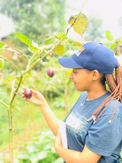 Behind every ripe fruit and golden field lies the dedication of women in agriculture. Their passion and hard work paint the landscape of progress. #WomenFarmers #AgriInnovators