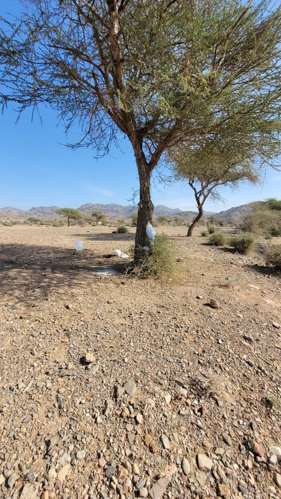 GreenDawda's tweet photo. عندما تتكامل الجهود لتكون (لبنة بناء) بيئة صحيّة احذر أن تكون (معول هدم).
كن/كوني قدوة لأبنائك فهذا التصرف لا يليق بنا كبشر ناهيك عن كونك آثم بهذا الفعل.
نشكر جهود الأمن البيئي في الوادي، على الرغم من الجولات المكثفة إلا أن الوعي هو الأهم @SFES_KSA
https://t.co/dazv3nMLzZ https://t.co/xWohJw7XOc