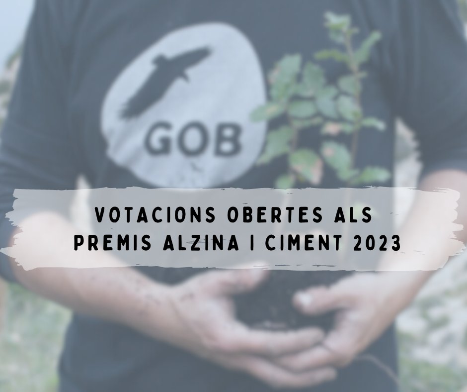 🏆Moltes gràcies per la nominació d'Alba Sud als #PremisAlzina promoguts pel @GOBMallorca dedicats a persones, organitzacions o institucions que hagin destacat per la seva aportació positiva al medi ambient. Ja podeu votar 👇 gobmallorca.com/votacio-alzina…