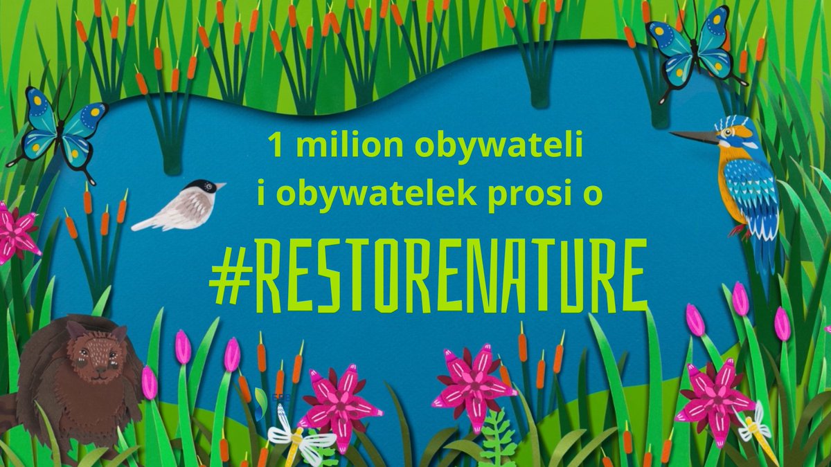 Już jutro głosowanie nad #NatureRestorationLaw.
#RestoreNature #BringNatureBack #EUBiodiversity #ForNature