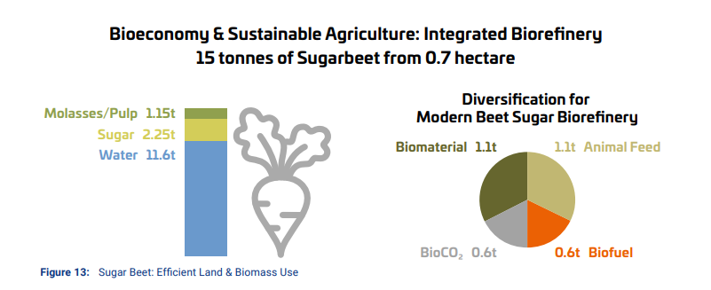 Nice report comparing  #life #cycle #assessment #footprints of 5 branded #biobased products against #fossil incumbents♻️🧑‍🌾. Check out more in link below 👇 "#Renewable #Carbon-based Materials Show Significant Lower #CO2 Footprint Than #Fossil Counterparts" renewable-carbon.eu/news/renewable…