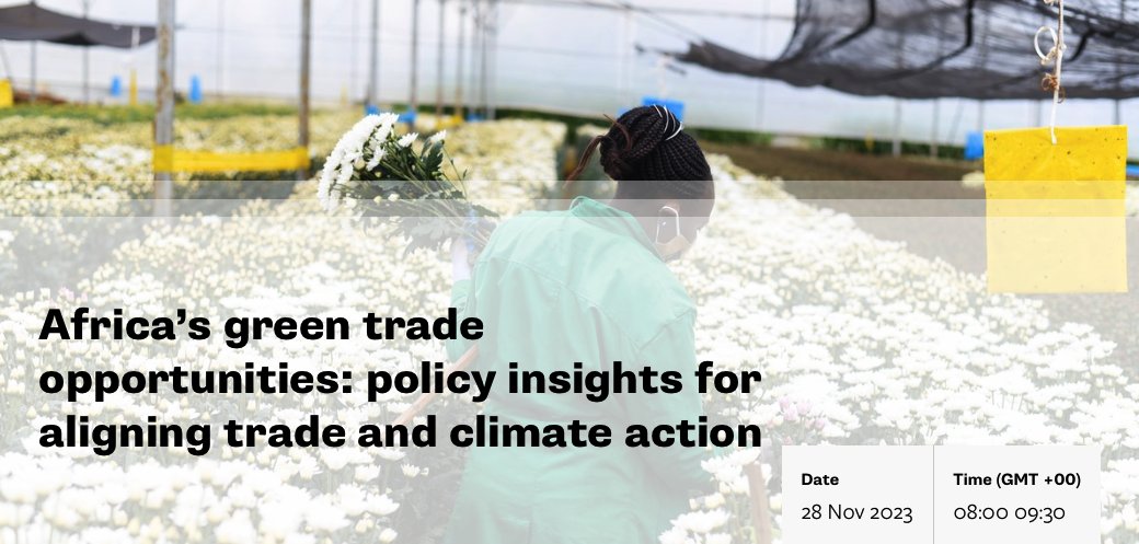 ODI_trade's tweet photo. 🔴LIVE NOW: Our discussion on Africa's Green Trade Opportunities.
Our panel will discuss priorities for #COP28 negotiations, impacts of new #greentrade policies & scaling intra-African markets under #AfCFTA.
📺Watch the live stream: https://t.co/ORSZd8bzoX
#TradeandClimate https://t.co/zrmvcsoHqY