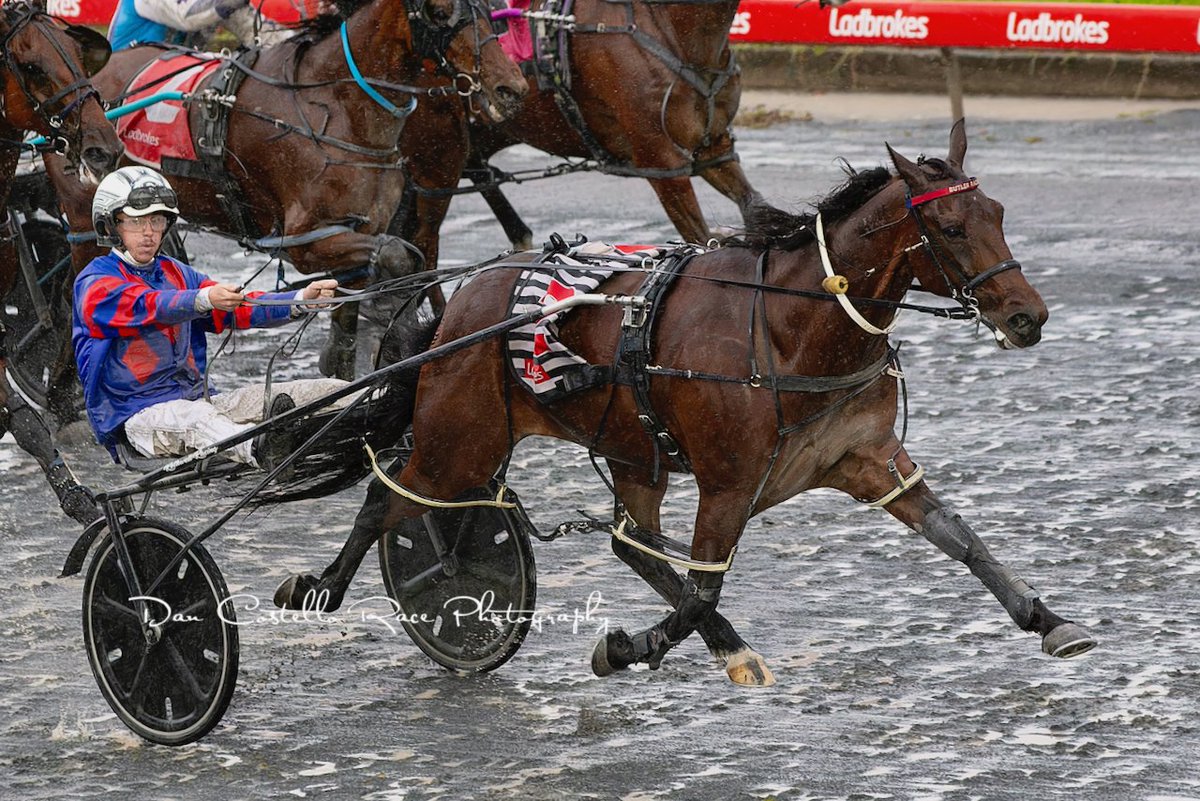 DanRacingWrap's tweet photo. Admiral Bronski with @nathrothwell02 salute in the last for the day @TheCreekAlbion for trainer @mjbutler63 https://t.co/wdy177AVvW
