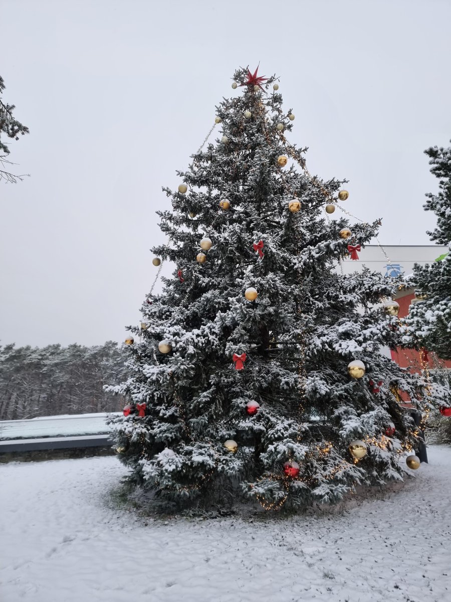 Good morning, #BBISCommunity! ❄️ Winter has officially arrived in #Kleinmachnow, transforming our #BBISCampus into a snowy wonderland. Don't forget to bundle up.